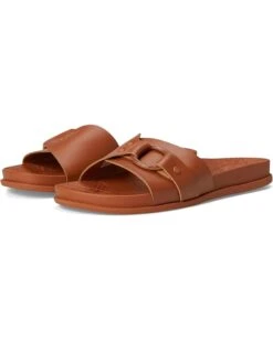 Reef Cushion Soho Cruz | Sandals -Shoe Rush Store 618QXXYkLtL. AC SR736920